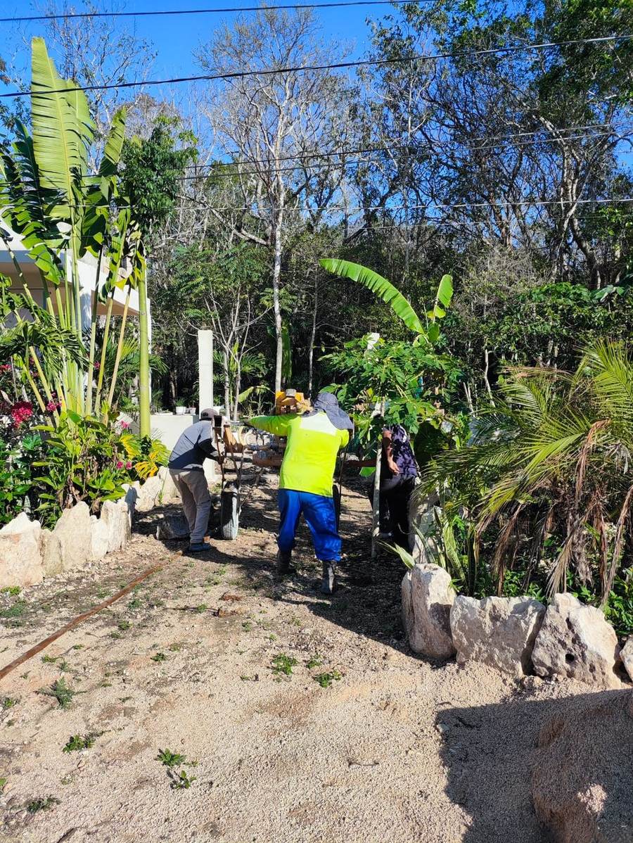 Trabajo en jardín y áreas verdes — Zamaji